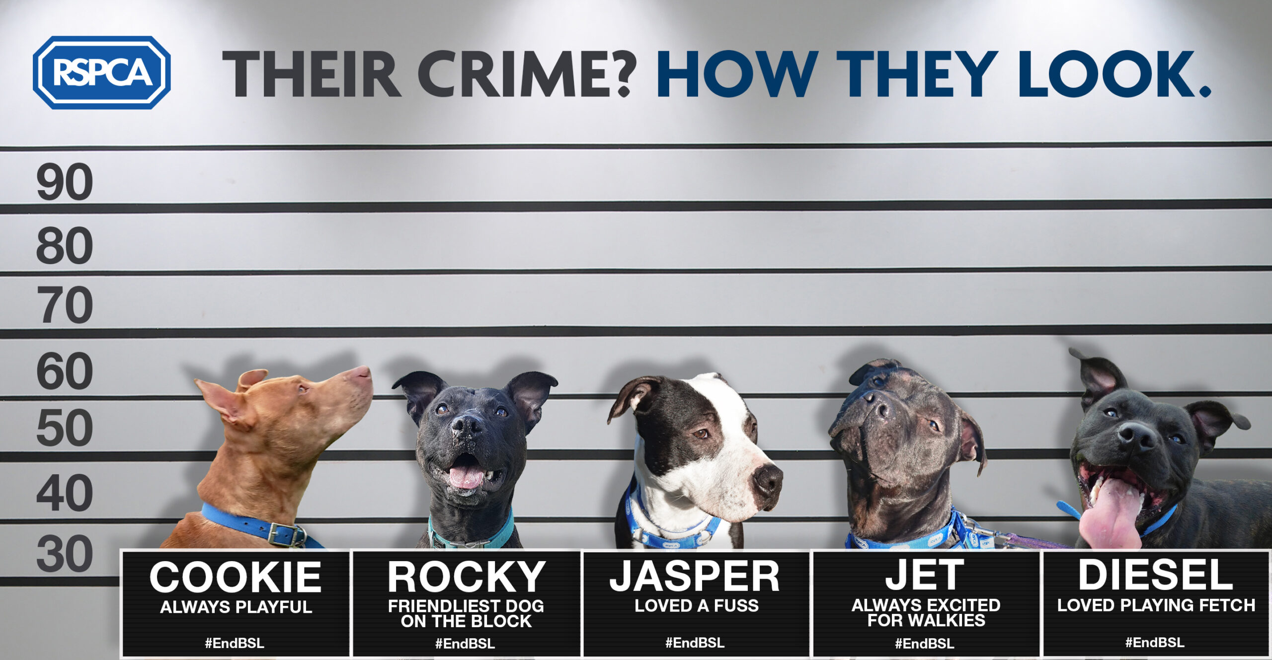 Police Line Up Wall