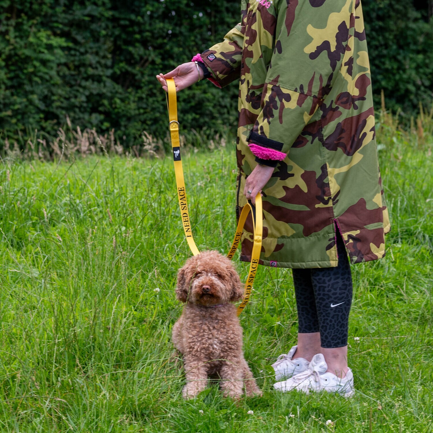 Dog Leads & Accessories